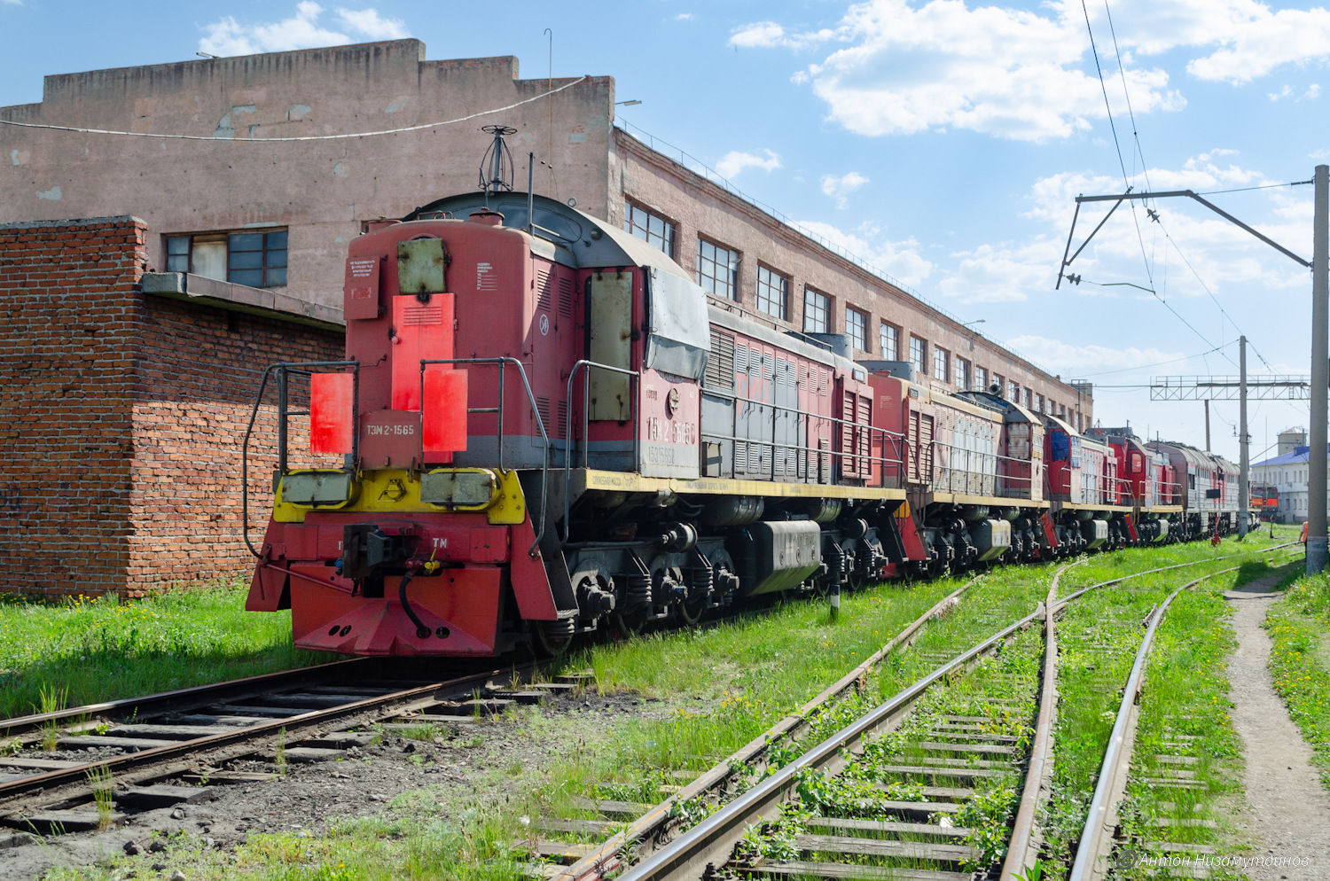 ТЭМ2-1565