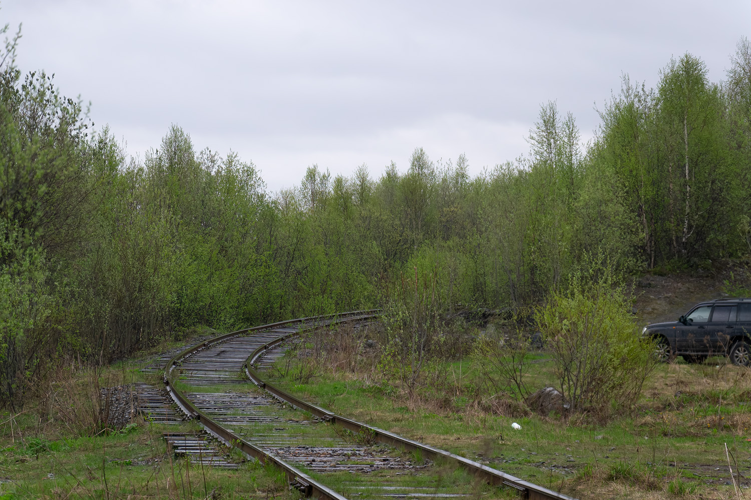 Октябрьская железная дорога &mdash; Подъездные пути