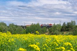 1022 КБ