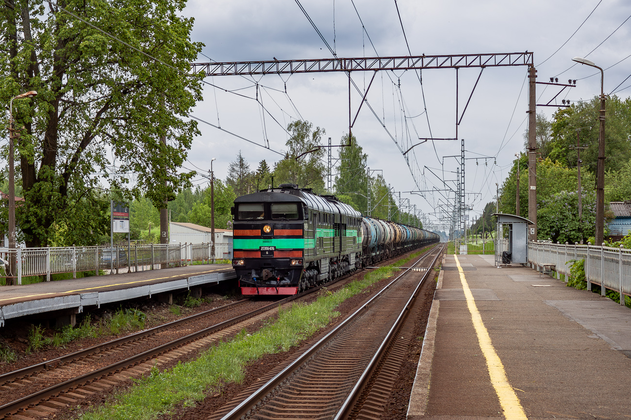 2ТЭ116-876