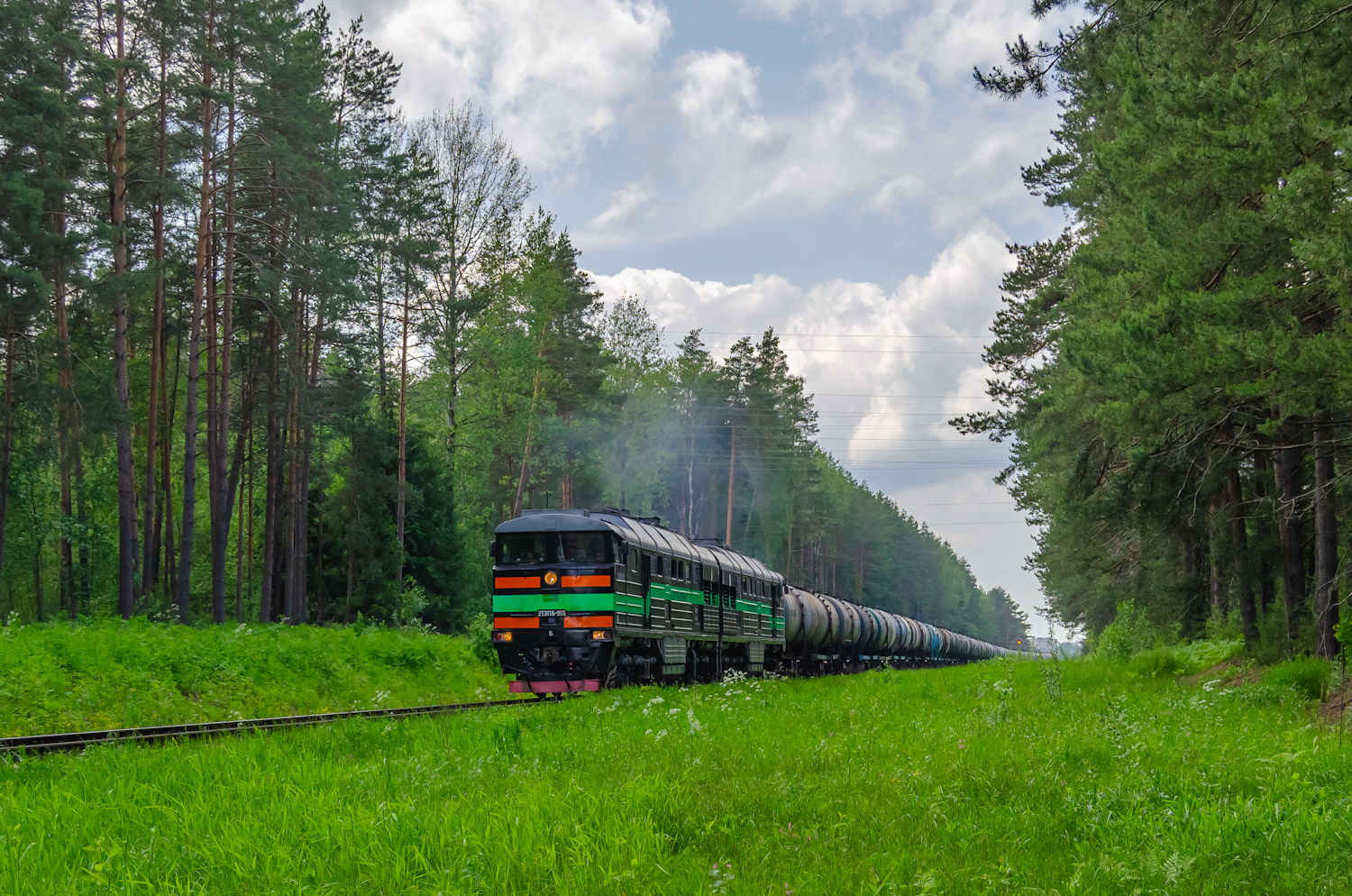 2ТЭ116-955
