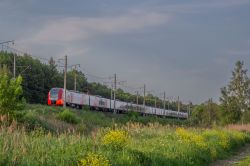 446 КБ