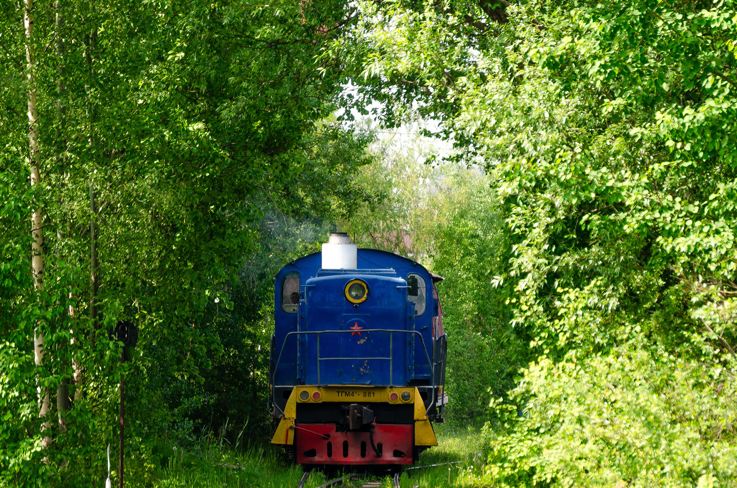ТГМ4-881
