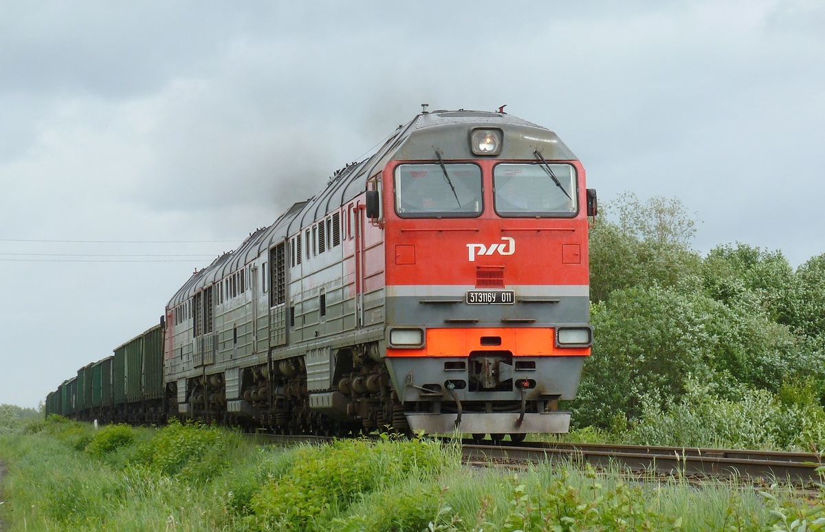 3ТЭ116У-011