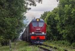 591 КБ