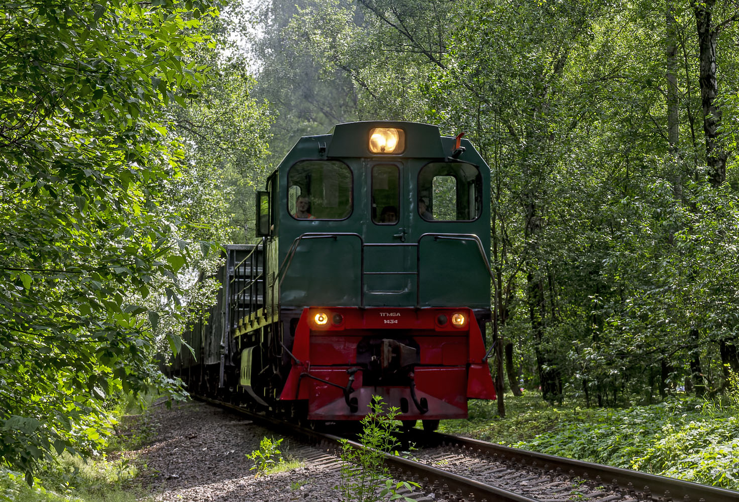 ТГМ6А-1434