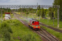 891 КБ