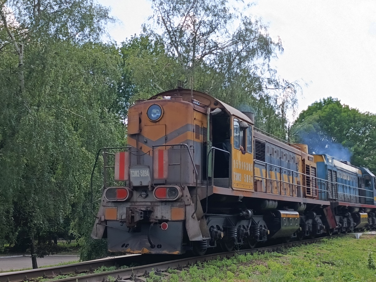 ТЭМ2-5894
