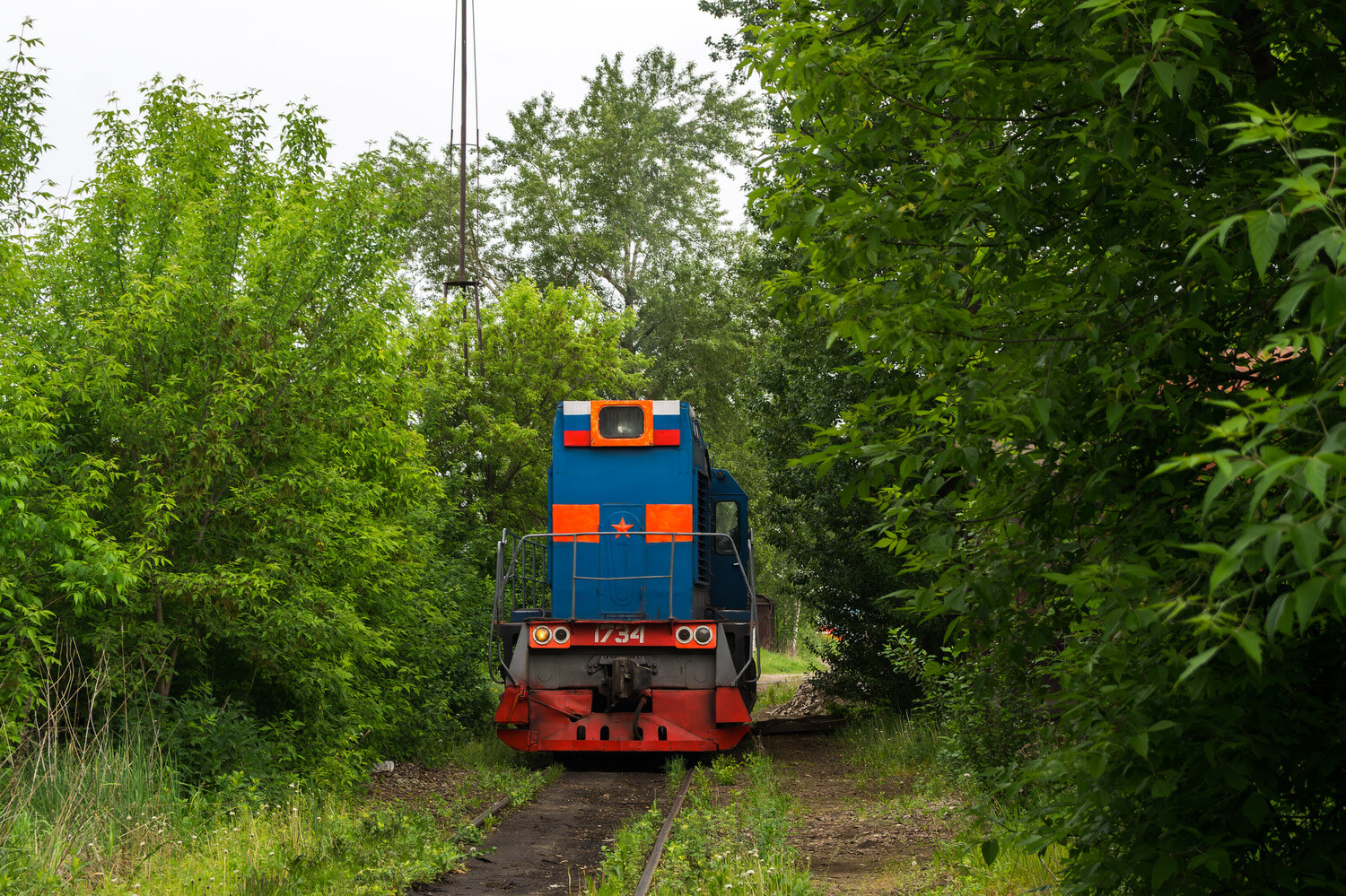 ТГМ6А-1734