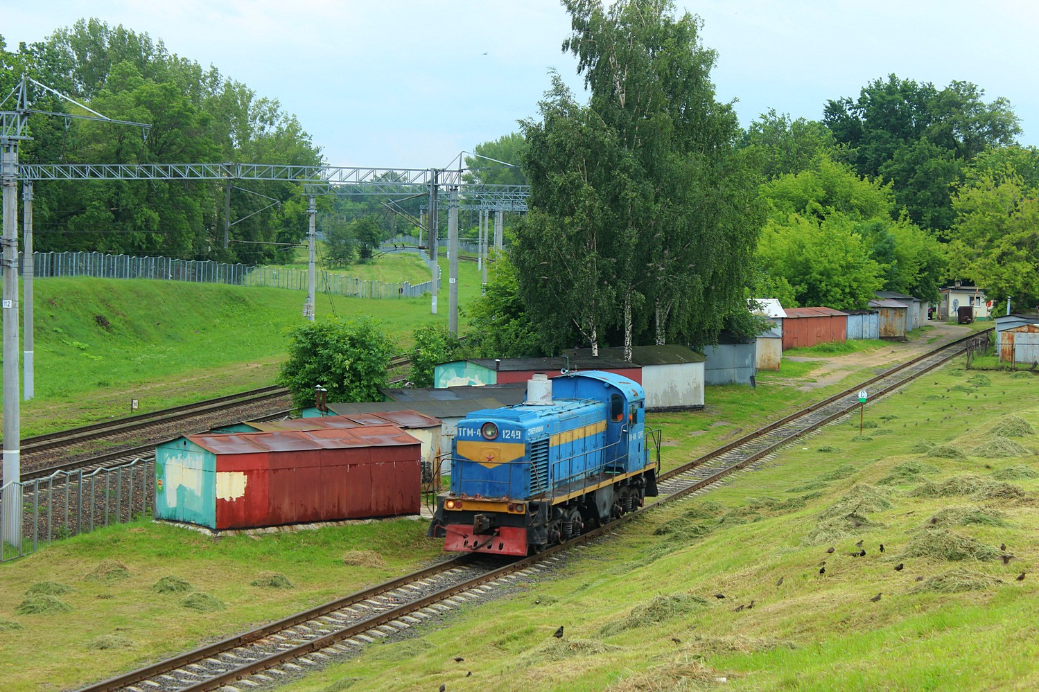 ТГМ4-1249