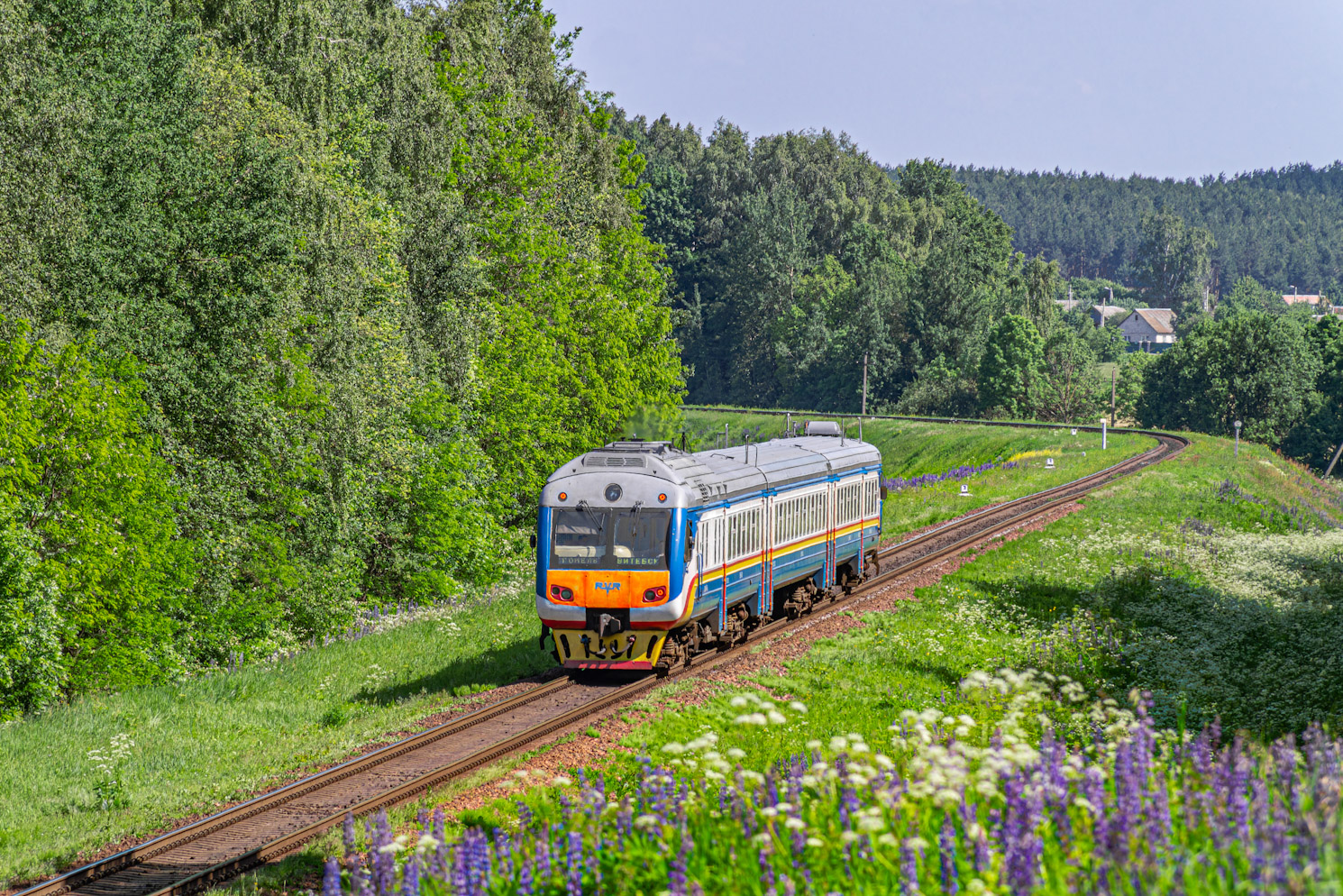 ДР1Б-502