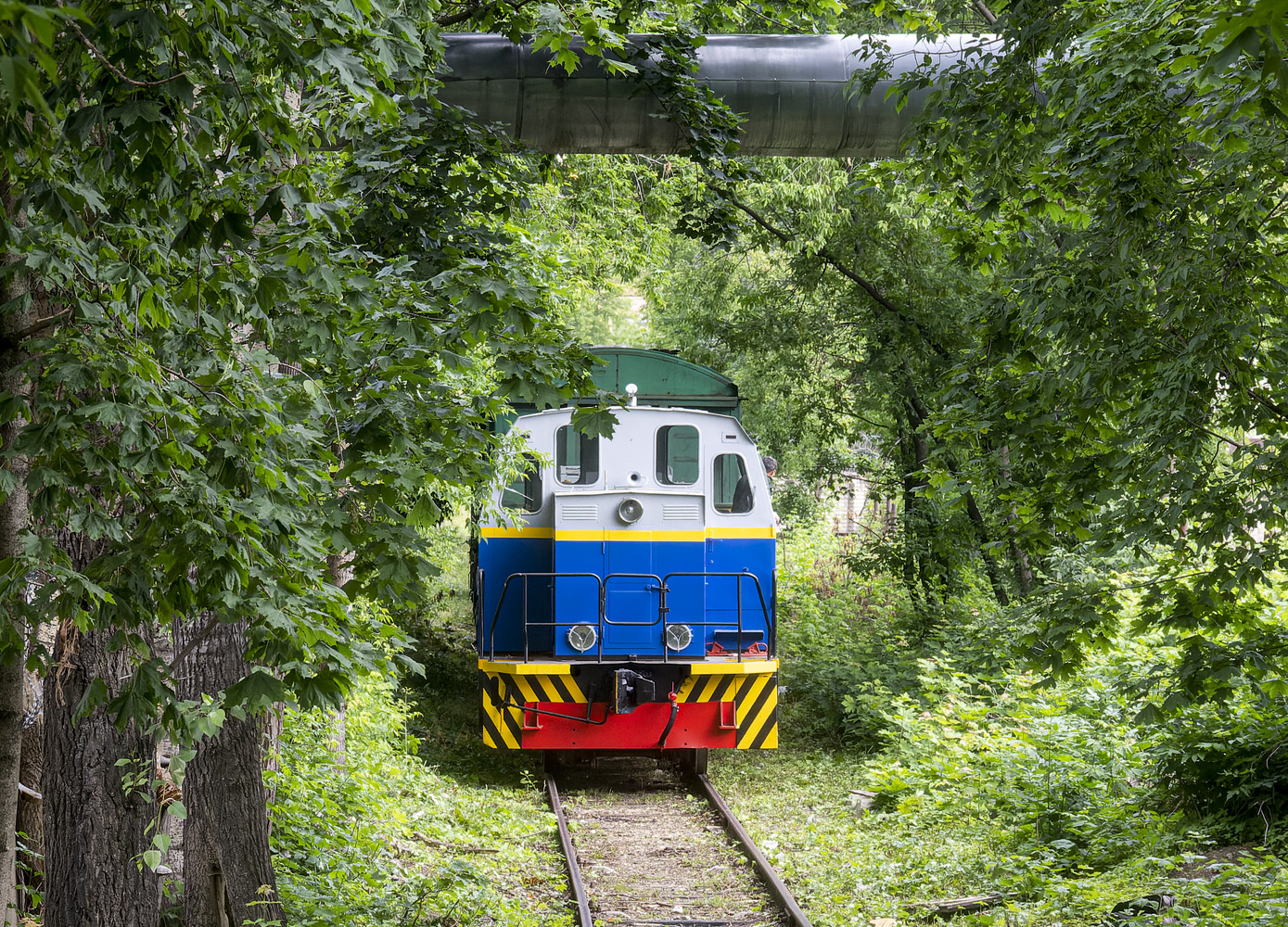 ТГМ23В48-031