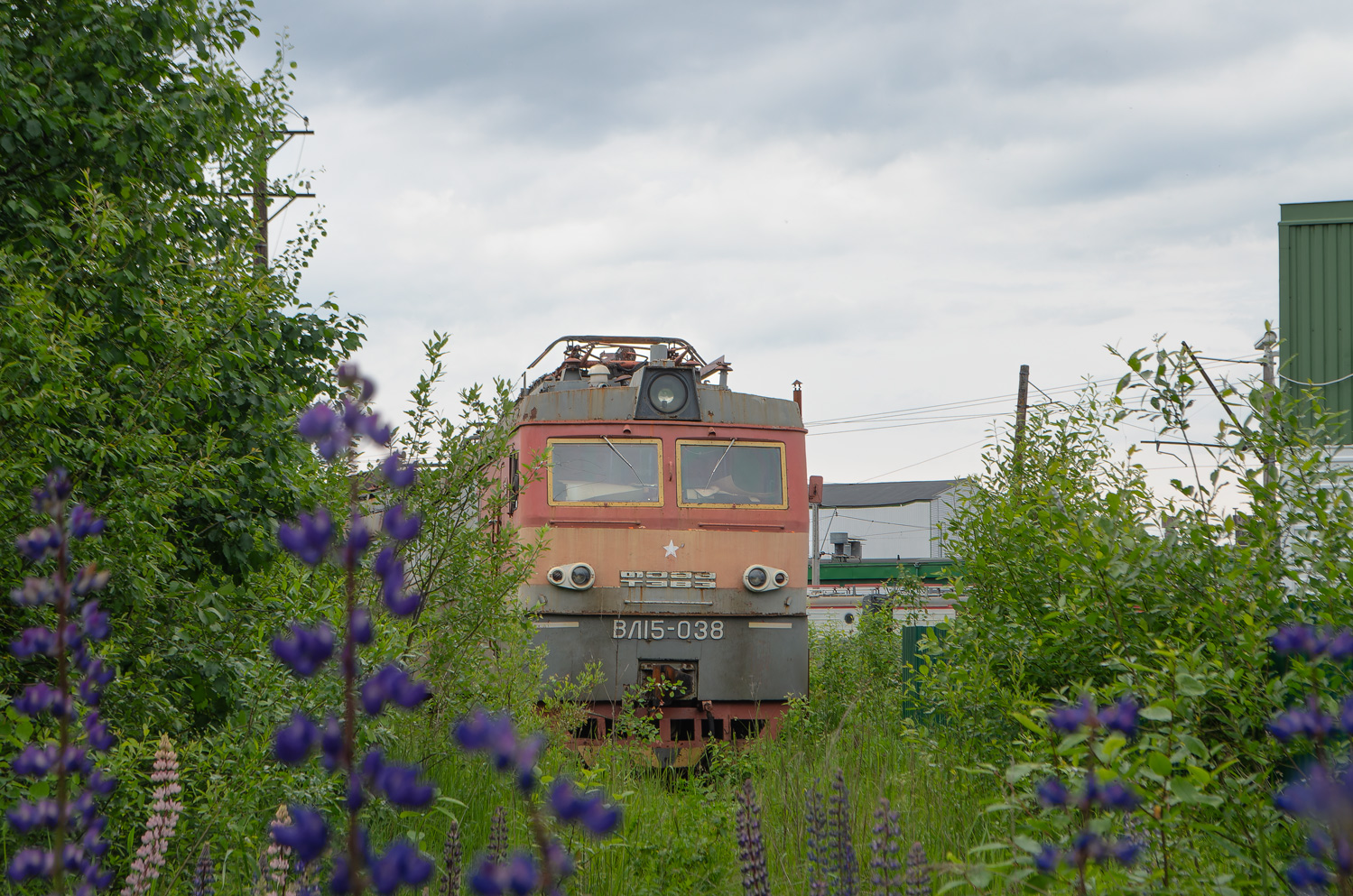 ВЛ15-038; Фотозарисовки (Октябрьская железная дорога)