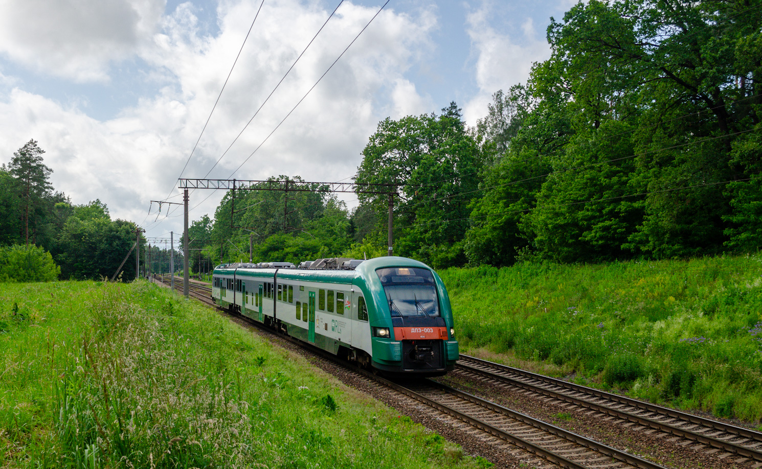 ДП3-003
