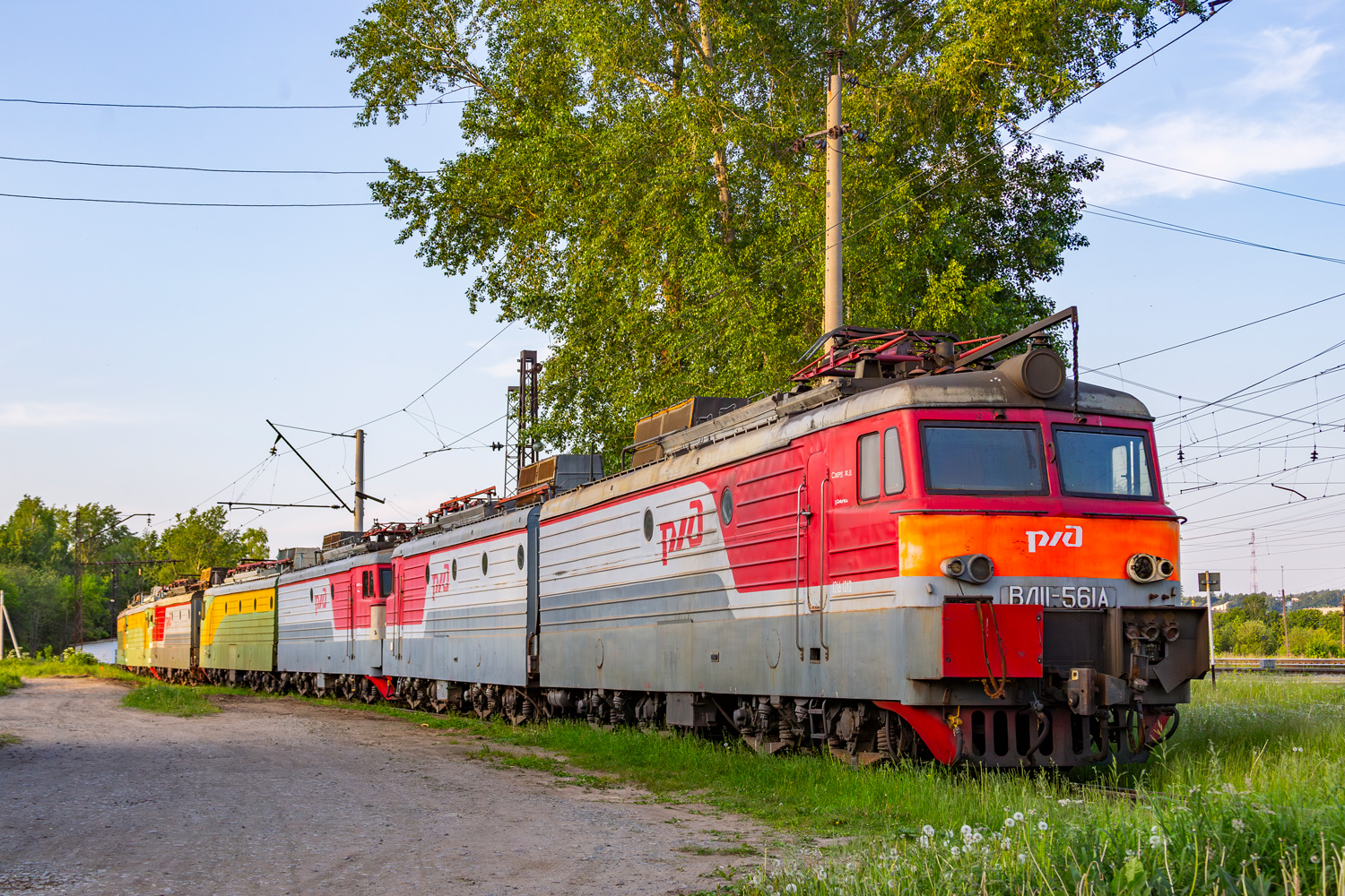 ВЛ11-561