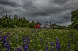 974 КБ
