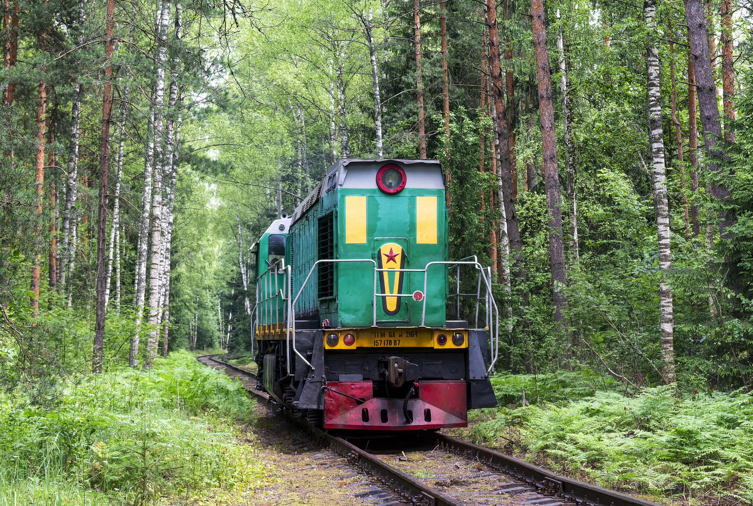 ТГМ6А-2164