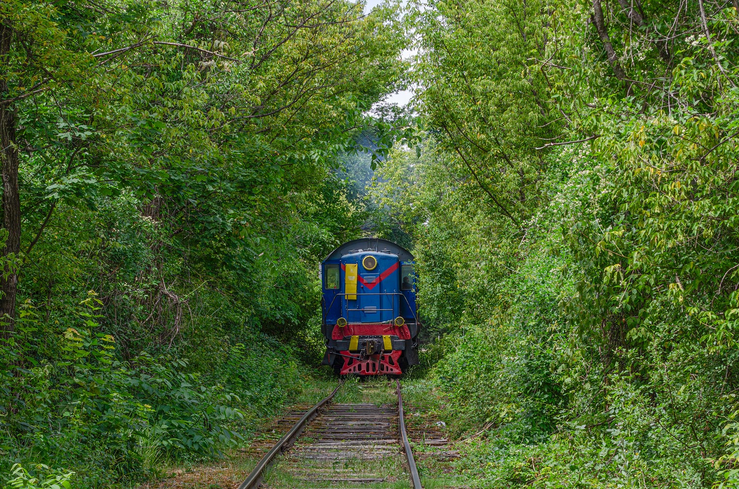 ТЭМ1М-0979