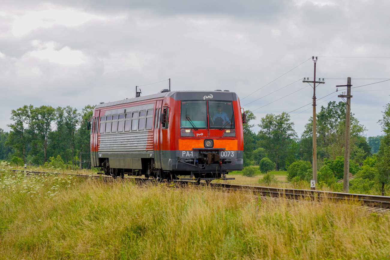 РА1-0073