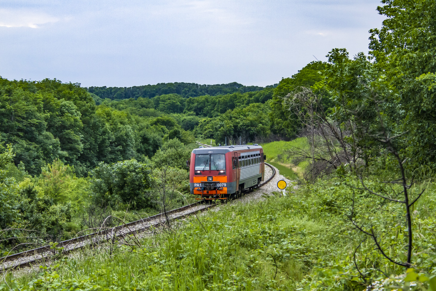 РА1-0079