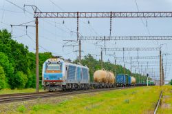 785 КБ