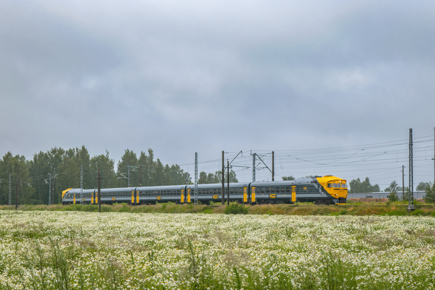 DR1AM-243