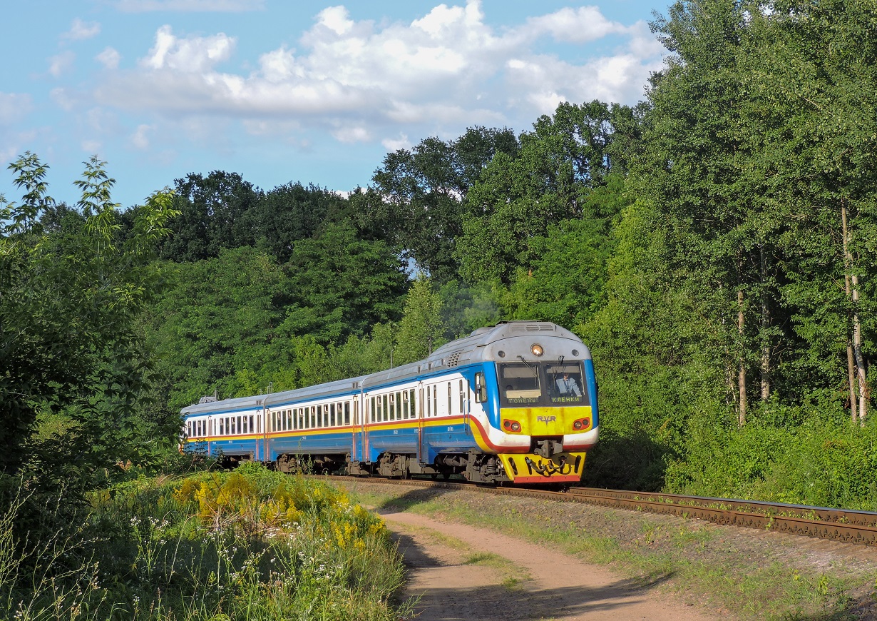 ДР1Б-502