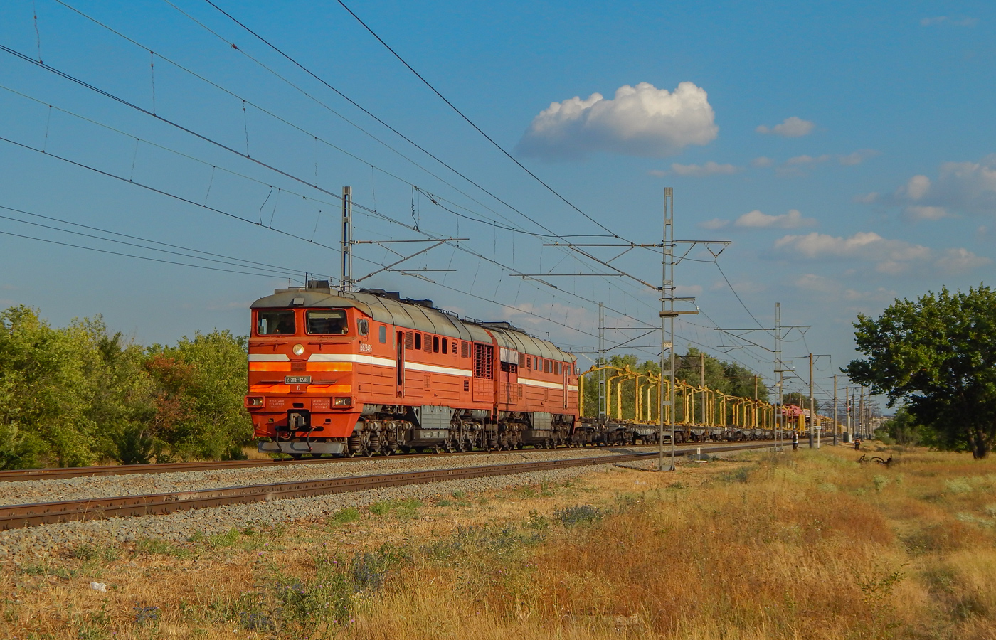 2ТЭ116-1238