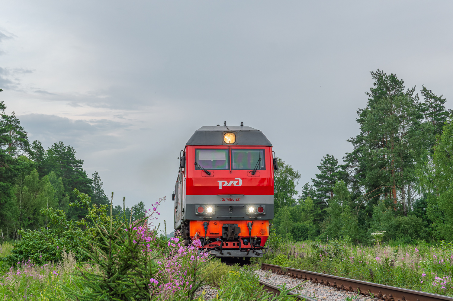 ТЭП70БС-231