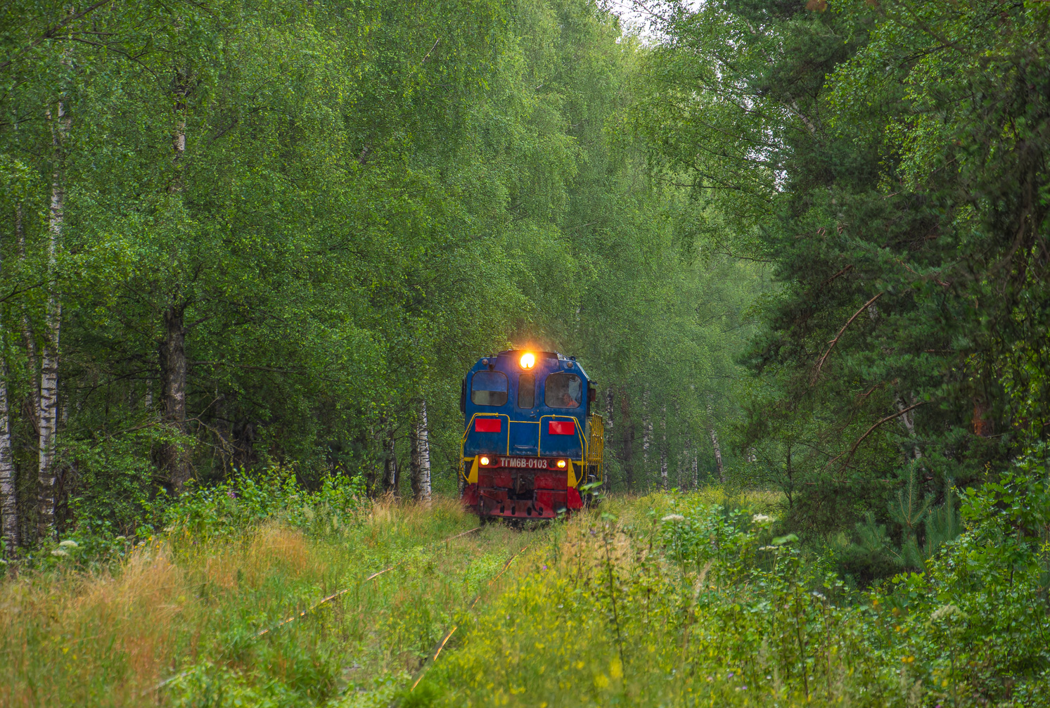 ТГМ6В-0103