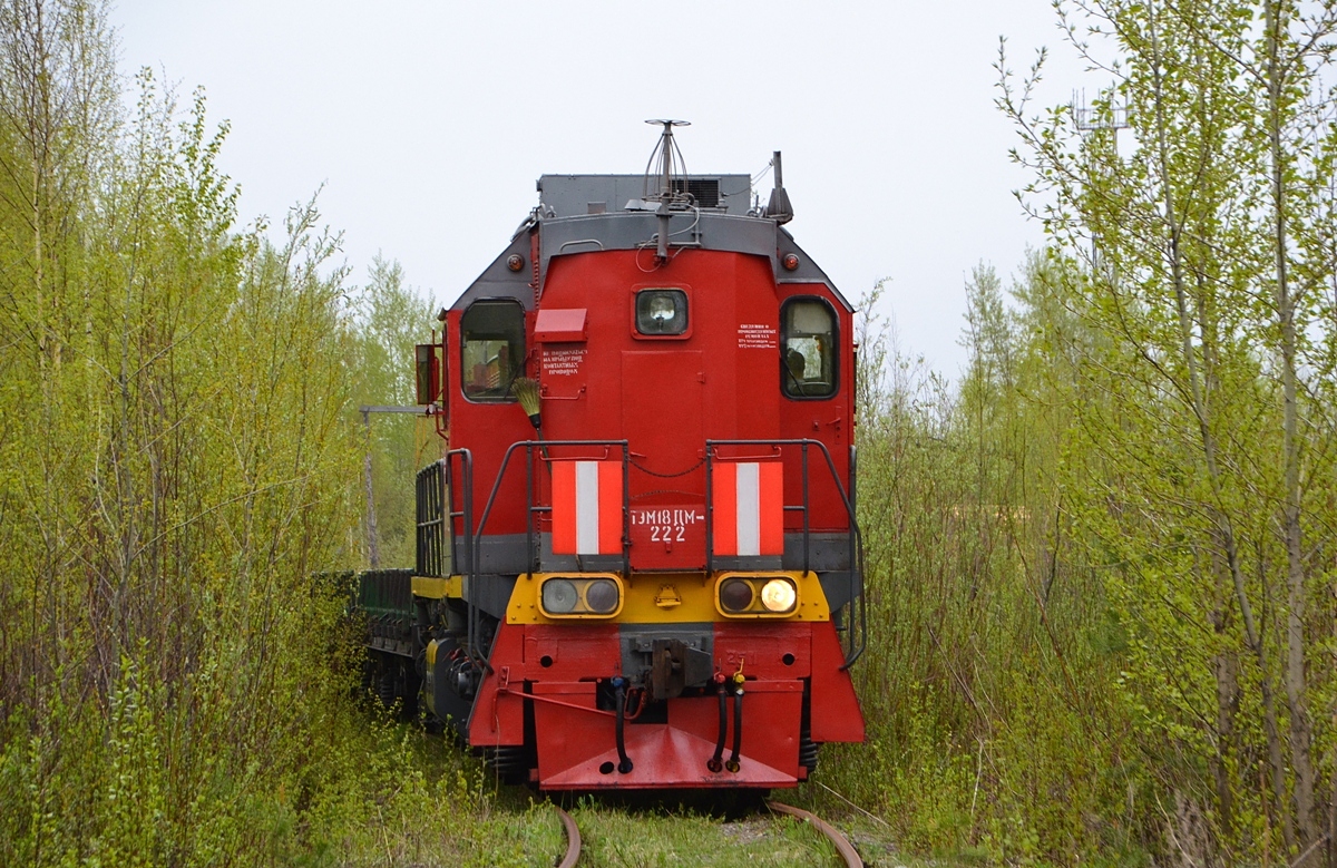 ТЭМ18ДМ-222