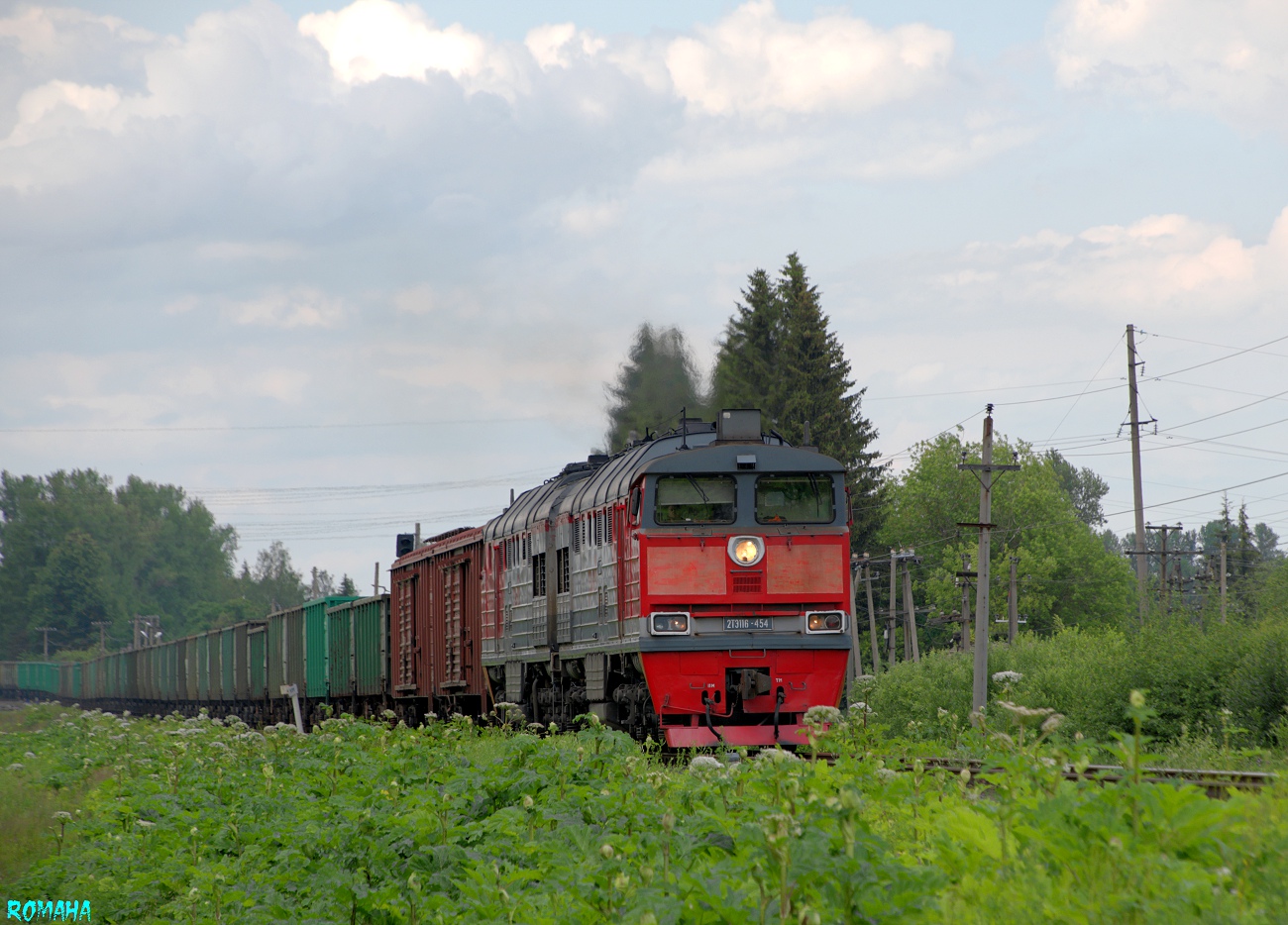 2ТЭ116-454