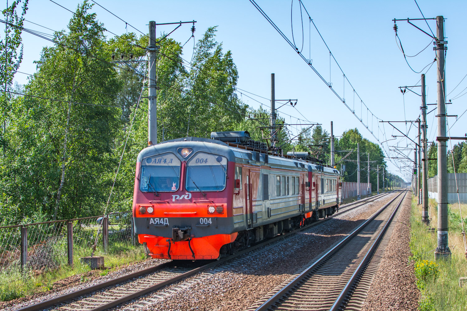 АЯ4Д-004
