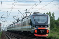 732 КБ