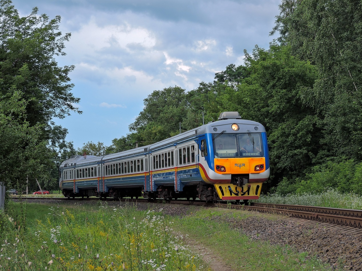 ДР1Б-511