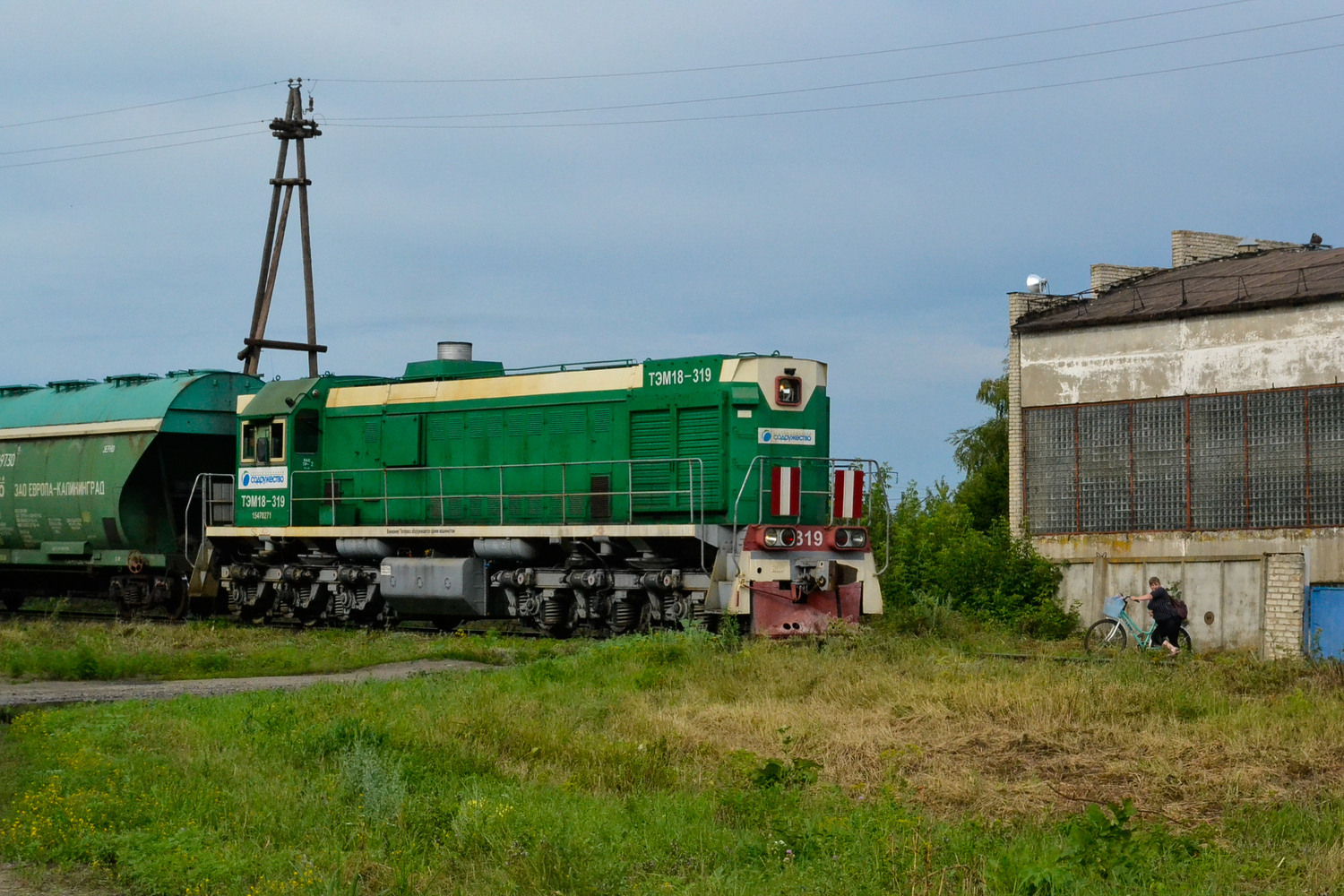 ТЭМ18-319
