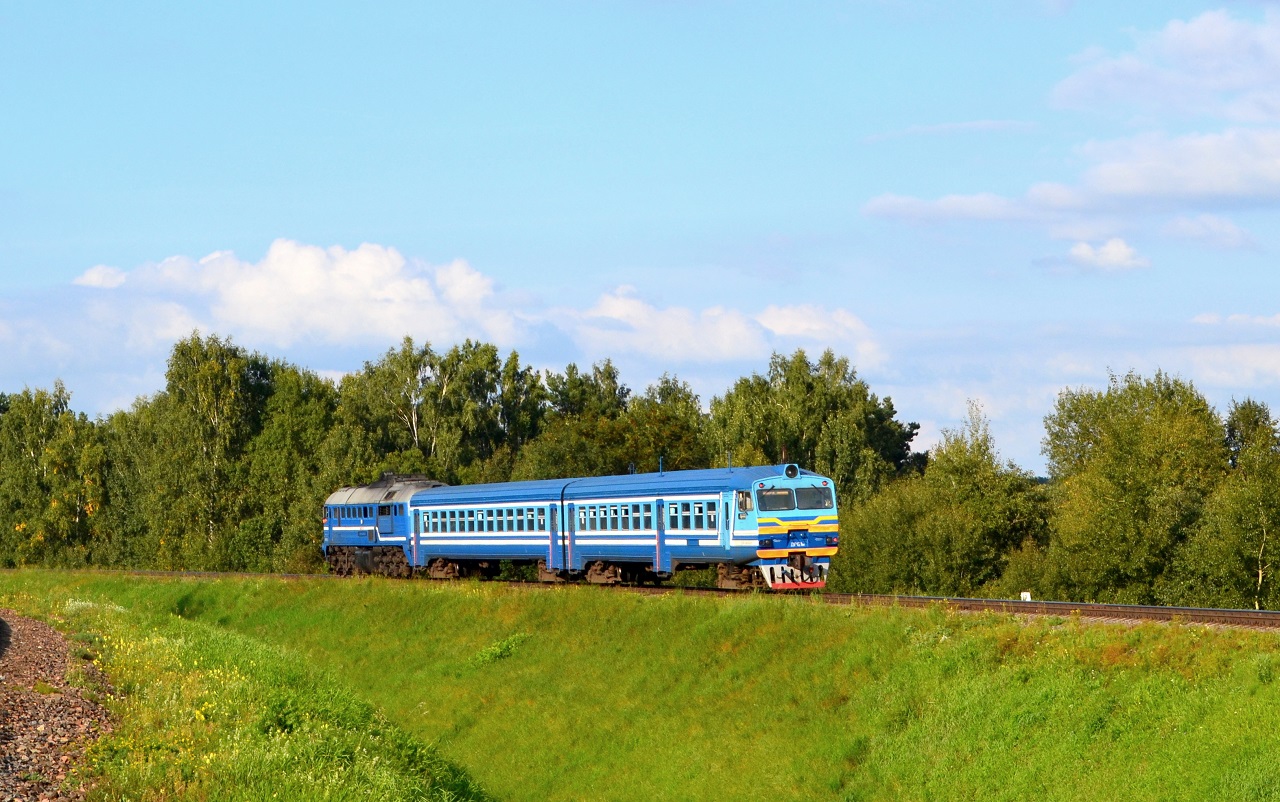 ДРБ1М