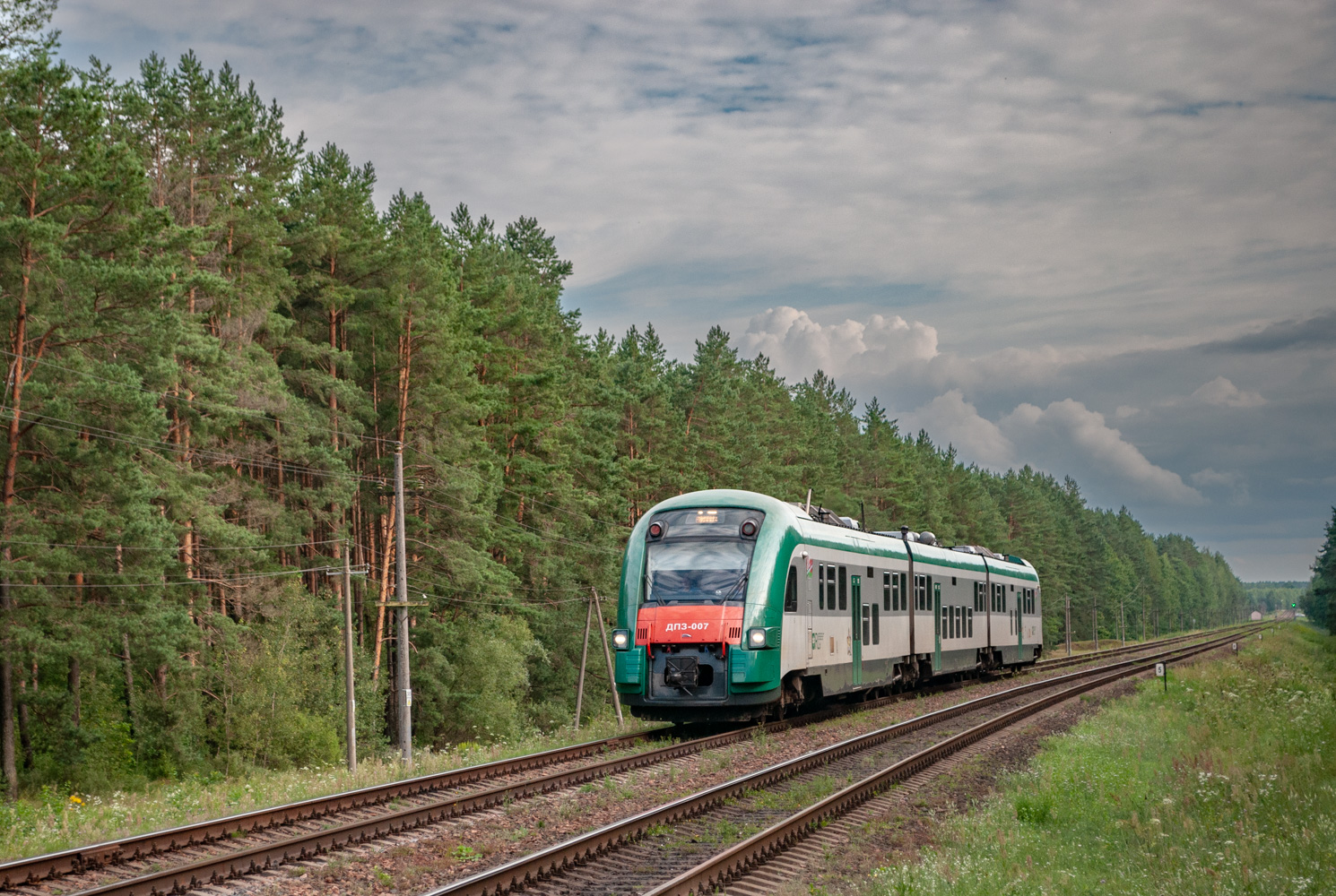 ДП3-007