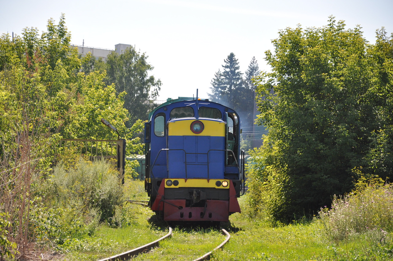 ТГМ4-2466