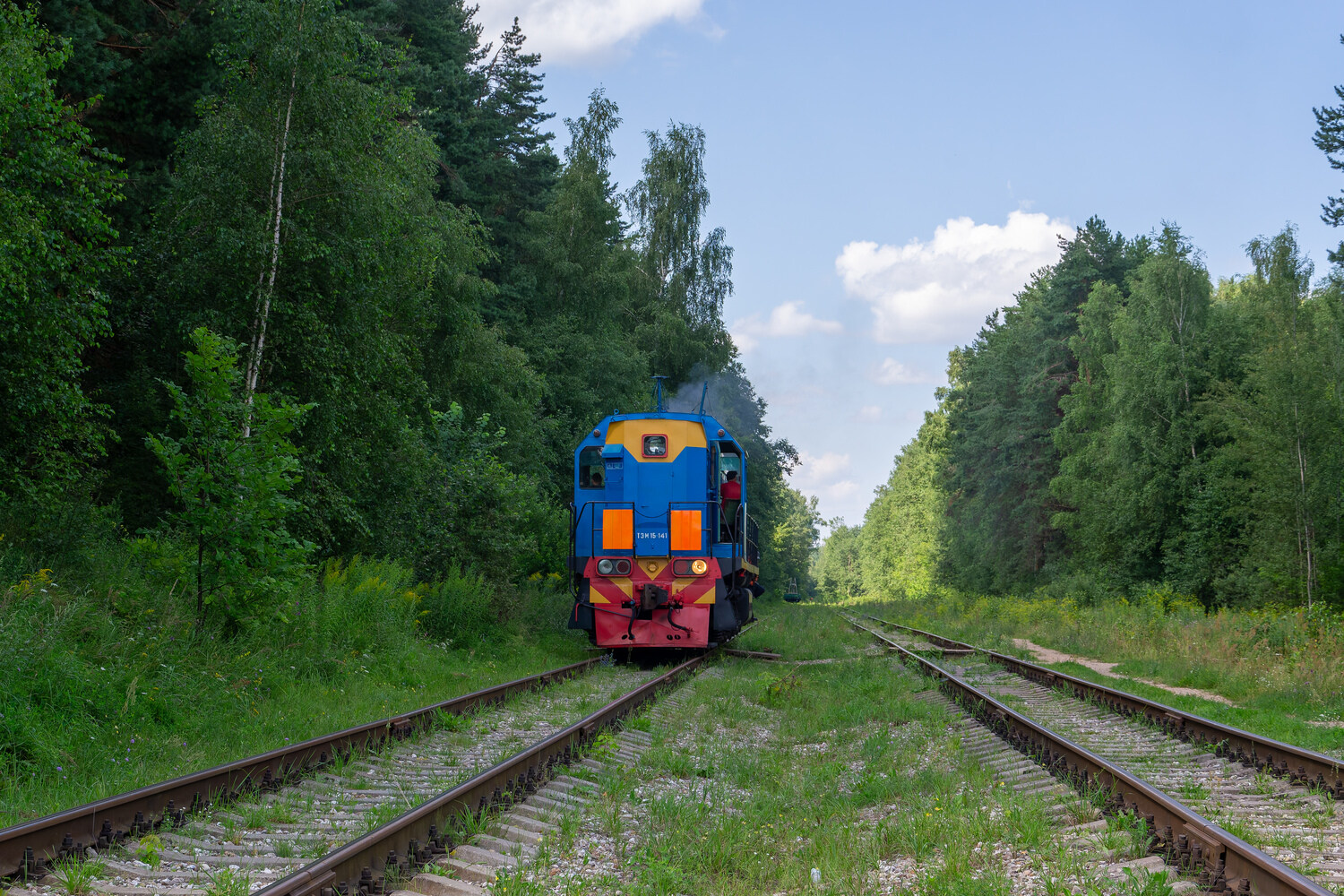ТЭМ15-141