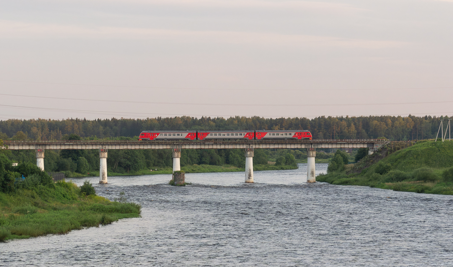 ДТ1-006