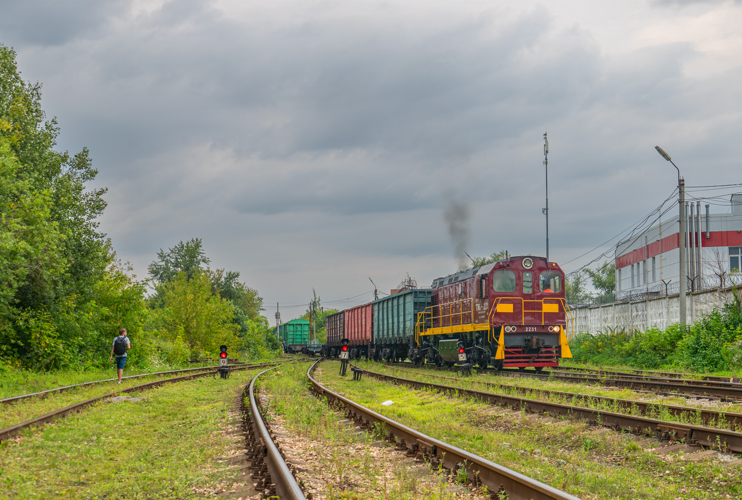 ТГМ6А-2231