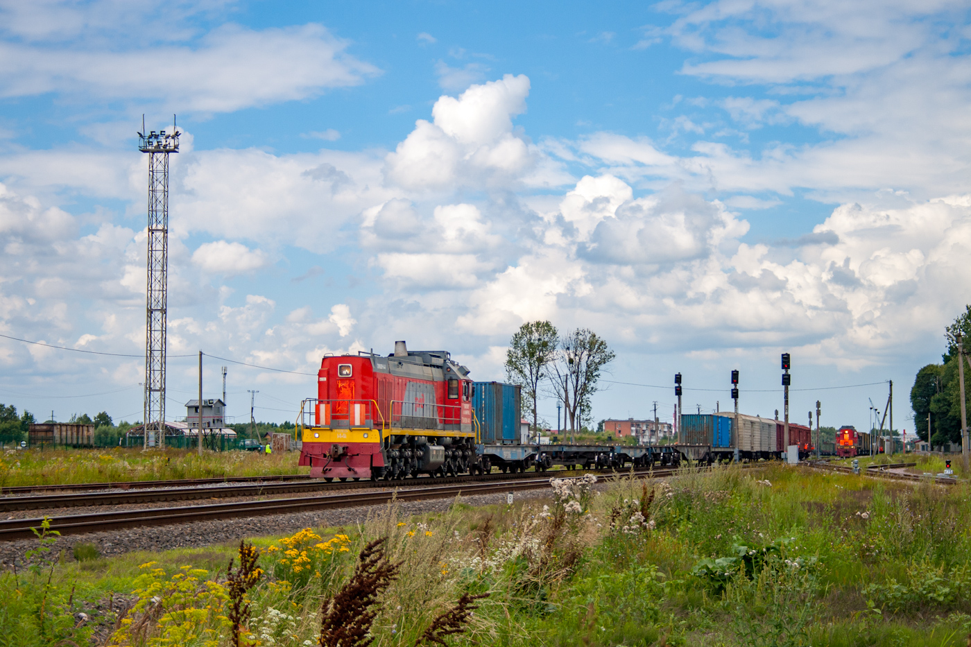 ТЭМ18ДМ-1441