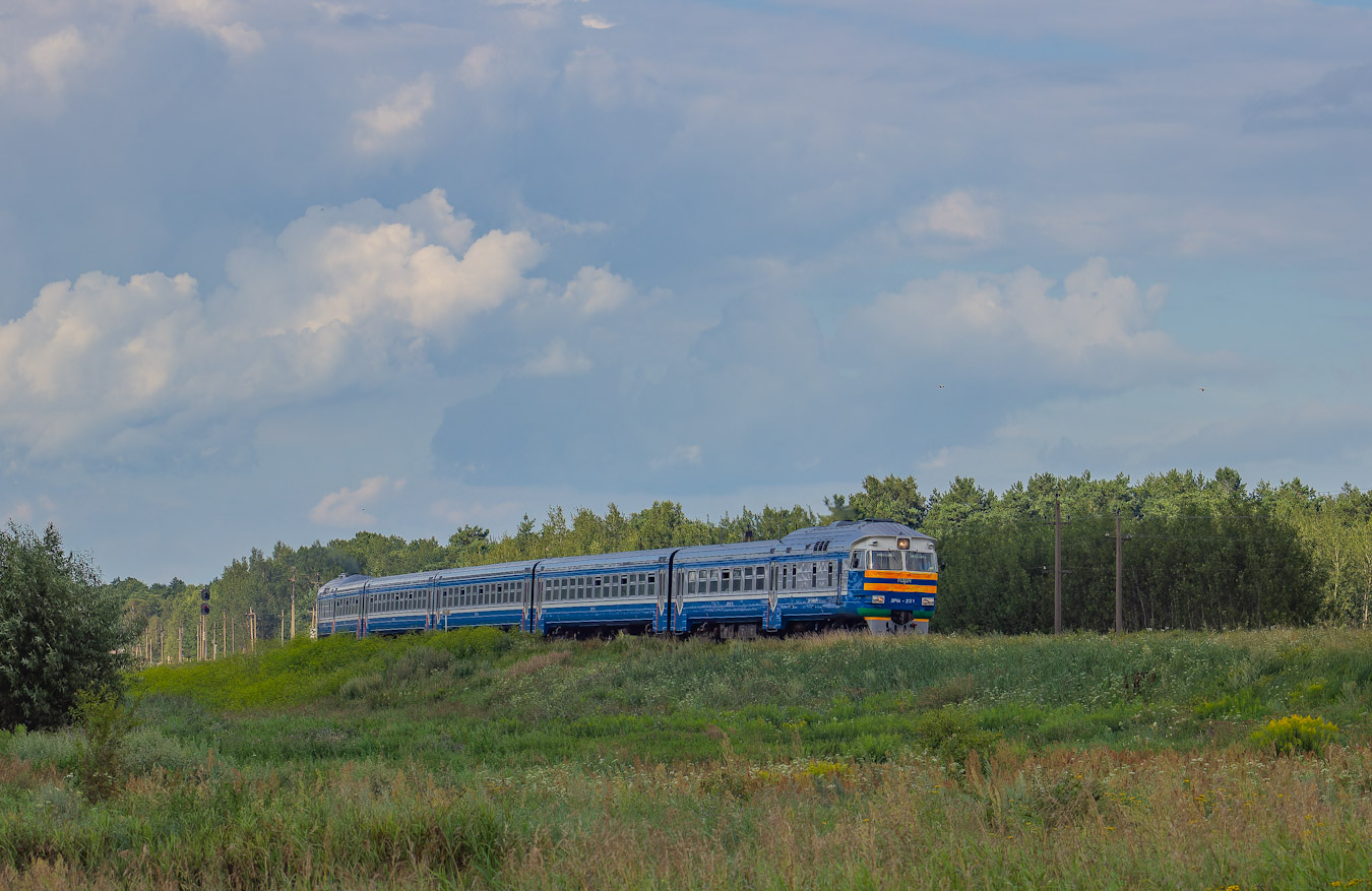 ДР1А-231