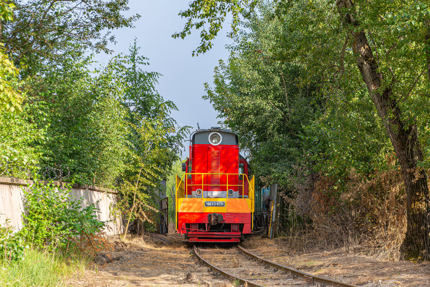 ЧМЭ3-6131