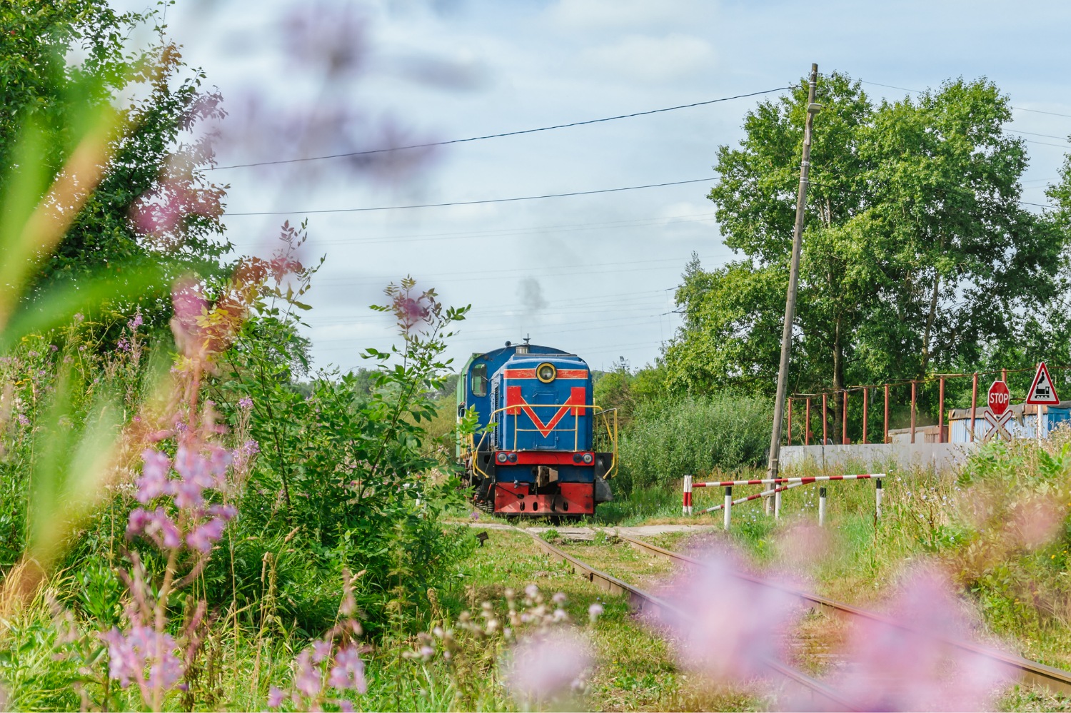 ТГМ4А-2569; Фотозарисовки (Северная железная дорога)