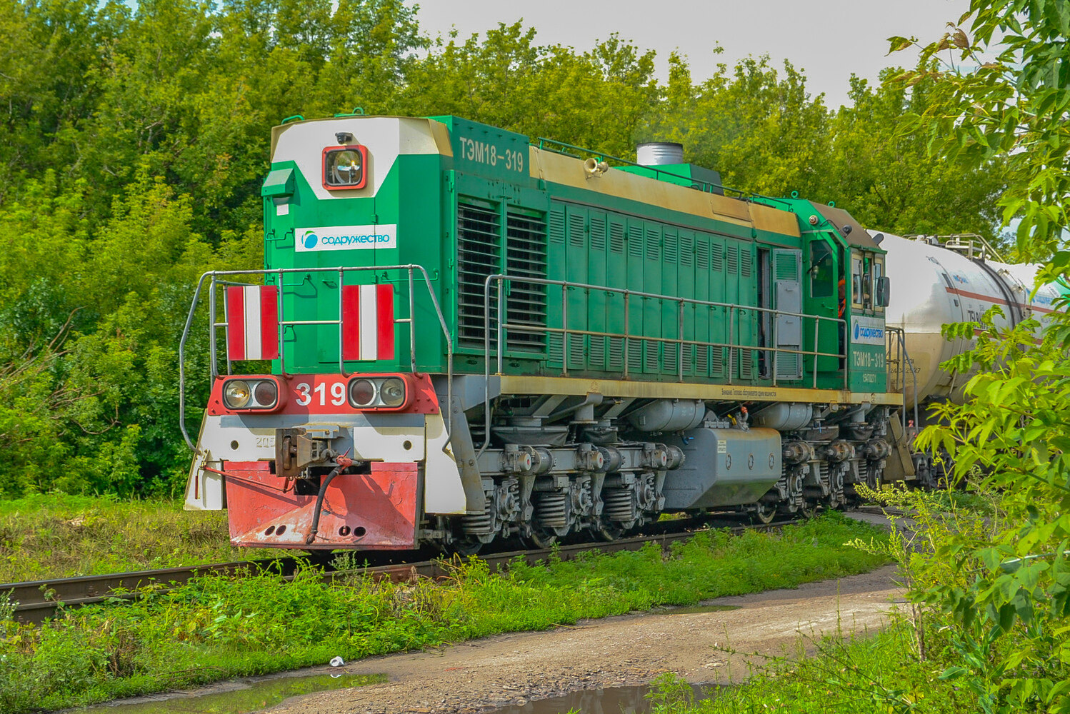 ТЭМ18-319