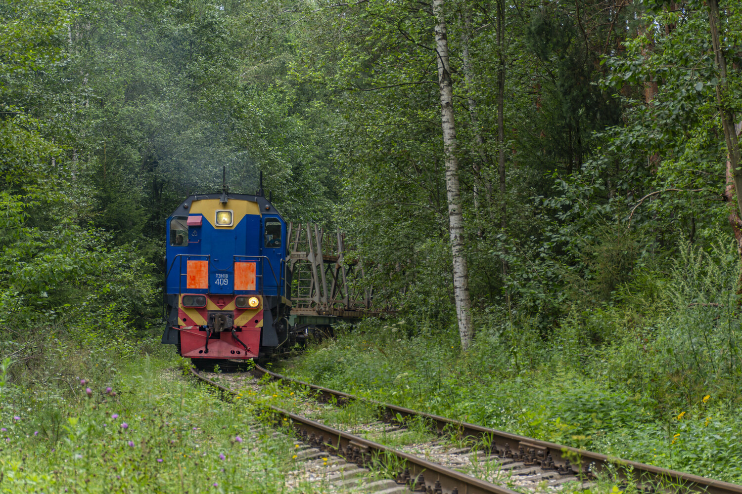 ТЭМ18-409