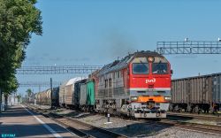 564 КБ