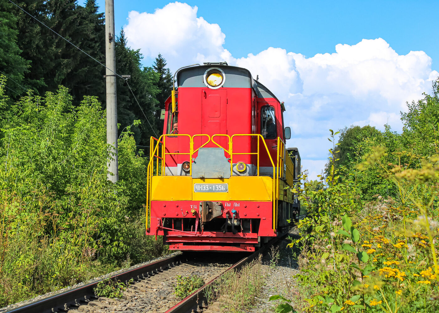 ЧМЭ3-1356